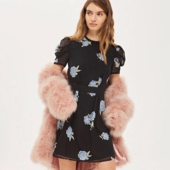 Topshop Dresses & Skirts - Topshop Bloom Studded Puff Sleeve Slater Dress